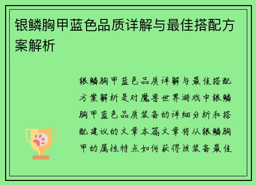 银鳞胸甲蓝色品质详解与最佳搭配方案解析